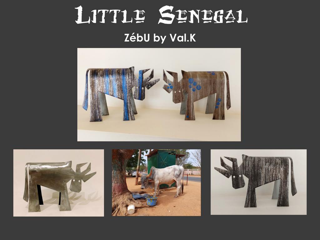 Les Zébus de Little Sénégal, Saly.