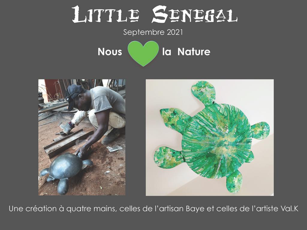 Les tortues de Little Sénégal, Saly.